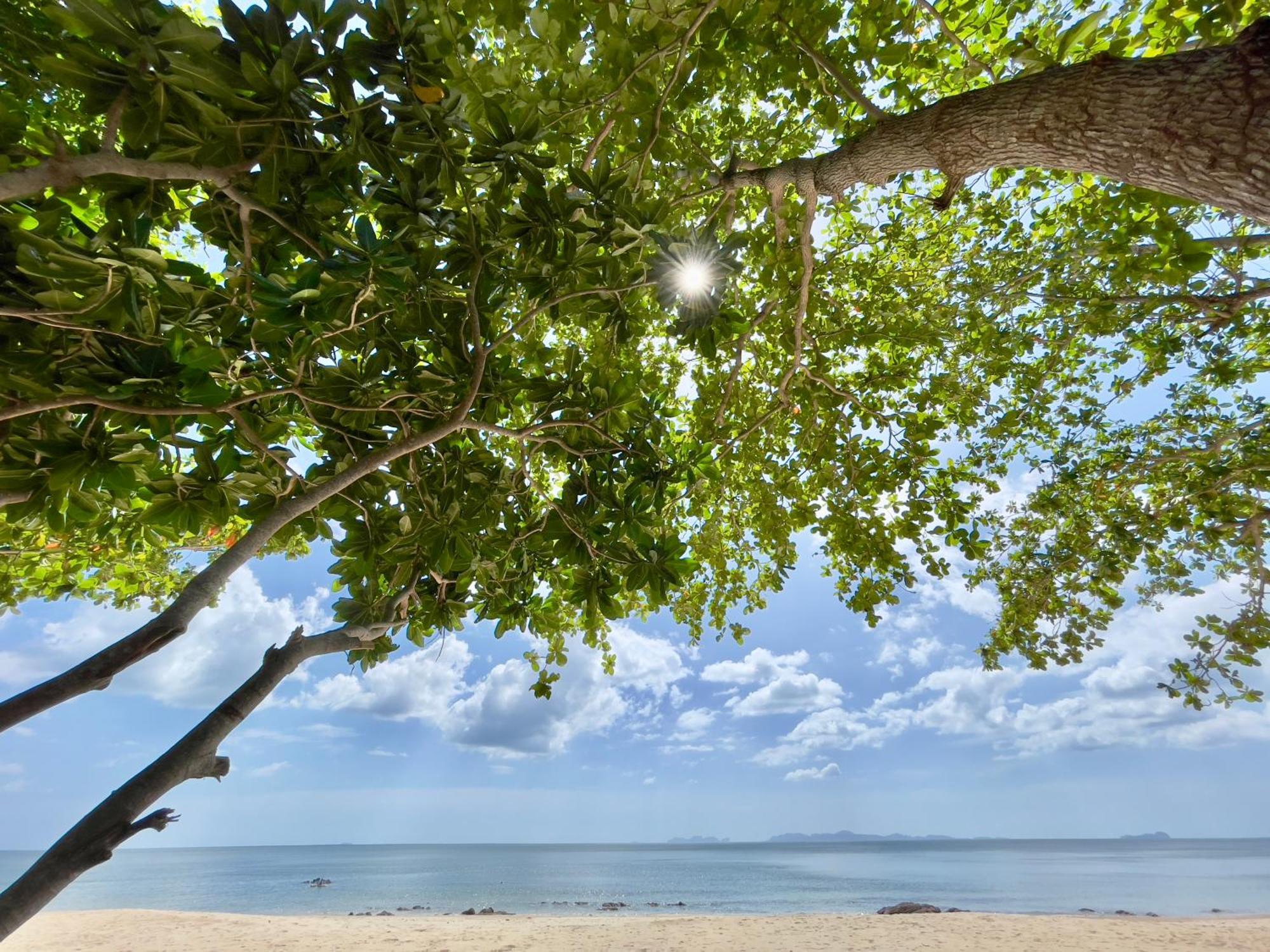 Cha Cha Bungalow Koh Jum Buitenkant foto